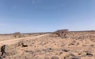 Across the Chalbi: Field Reflections from Marsabit’s Resilient Communities